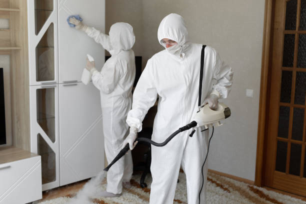 24/7 Emergency Odor Removal experts in North Jackson, OH